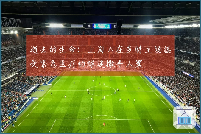 逝去的生命：上周六在多特主场接受紧急医疗的球迷撒手人寰