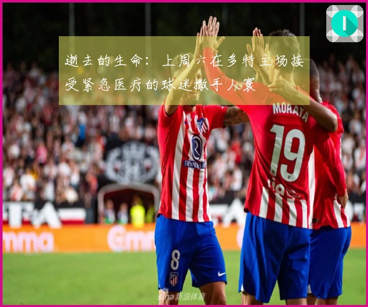 逝去的生命：上周六在多特主场接受紧急医疗的球迷撒手人寰